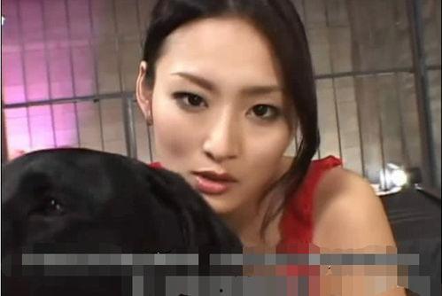 竹内纱里奈电影,光影交织的银幕传奇