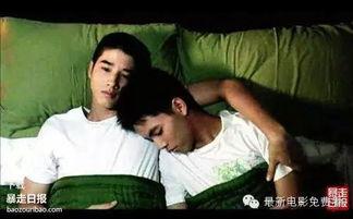 男男同性恋电影,探索男男同性恋电影的深情世界